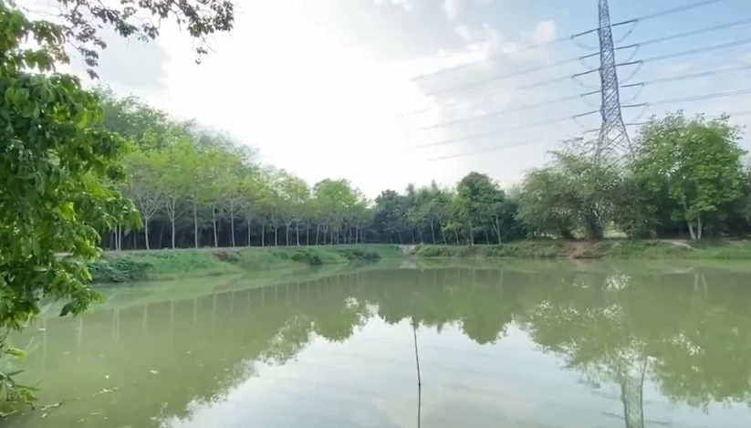 สุดโหด! แทงคอหนุ่มโรงไฟฟ้า ทิ้งศพบ่อตกปลา ตร.ยังมืดแปดด้าน