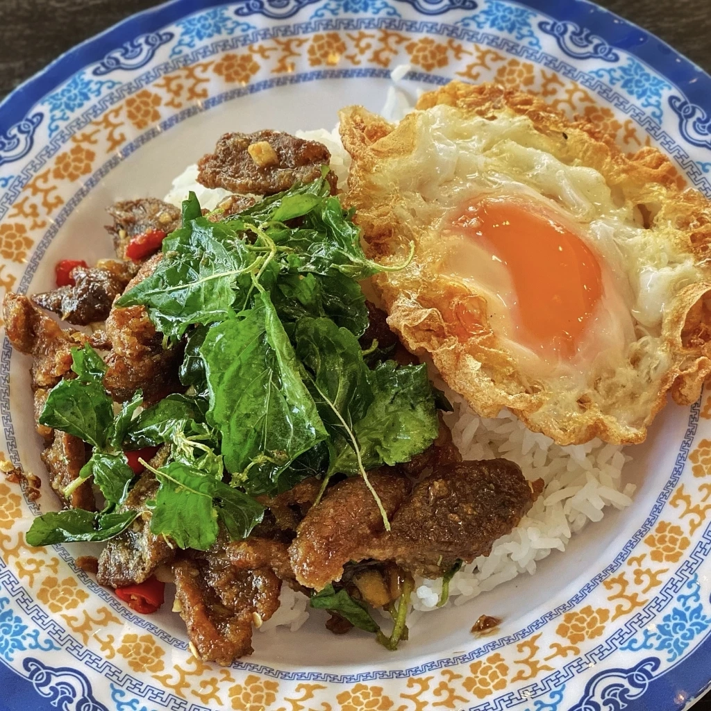 ข้าวกะเพรากรอบเป็ดตุ๋นยาจีน