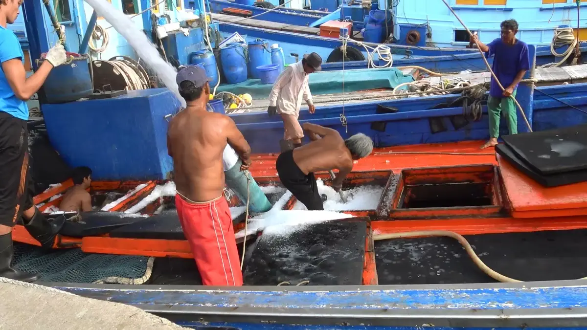 ชาวประมงผวา "ฝนตกหนัก-คลื่นลมแรง" นำเรือจอดเรือเทียบท่าสงขลา