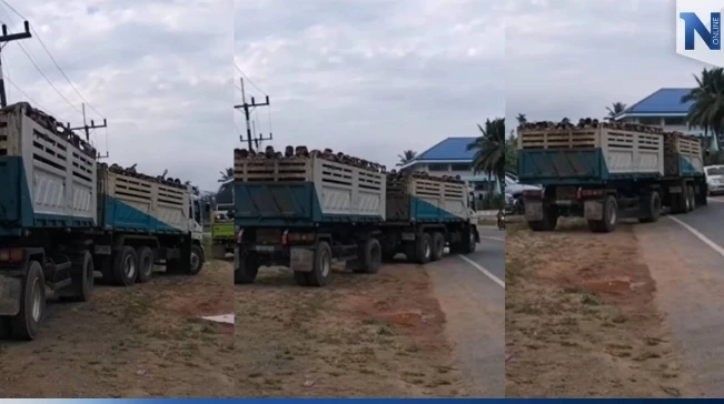 จบดราม่า รร.ดังเมืองคอน ยอมใช้รถบัสขน นร.กลับจากการเข้าค่ายลูกเสือ