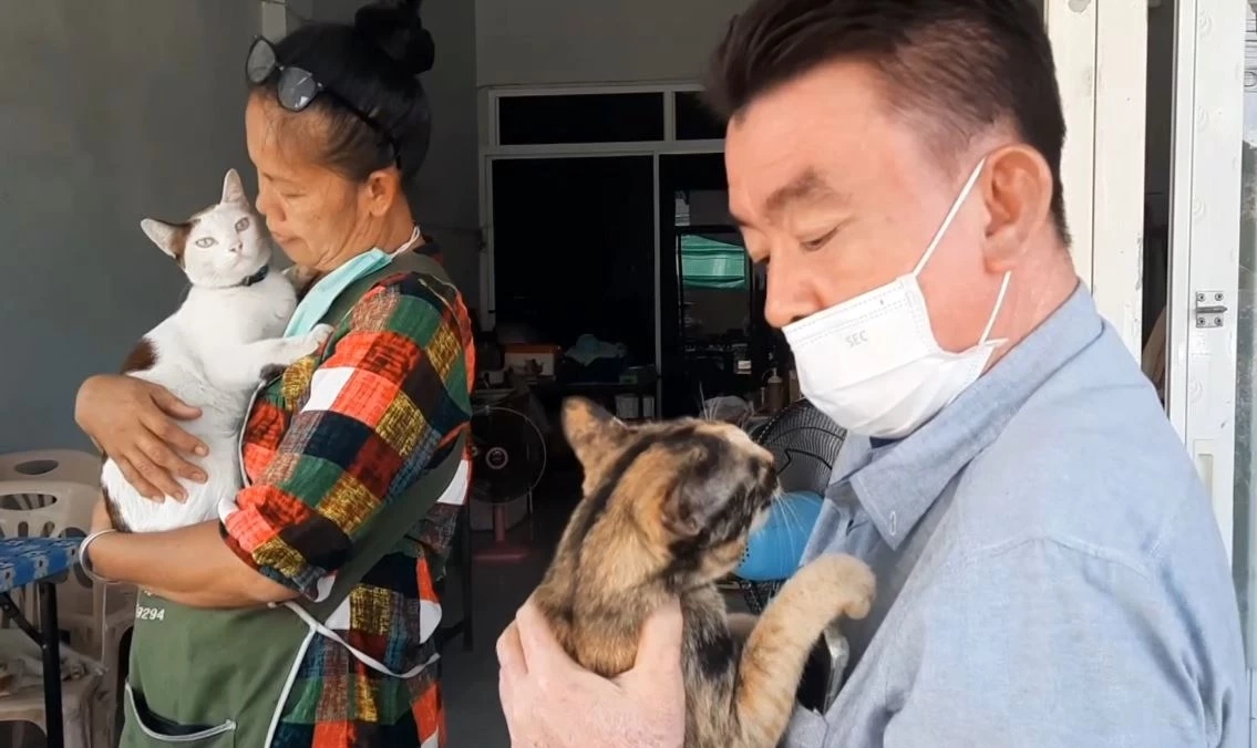 หนุ่มโพสต์ตามหาแมวหาย ใครพบตัว จ่ายทันที 1 แสนบาท