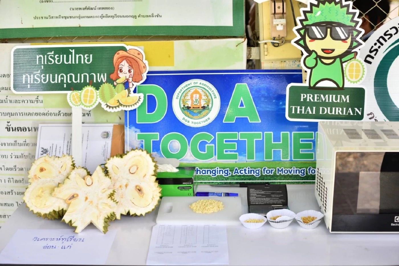 คุมเข้ม! ทุเรียนส่งออกจีน พบทุเรียนอ่อนไม่มีคุณภาพ ตัดสิทธิส่งออกทันที!