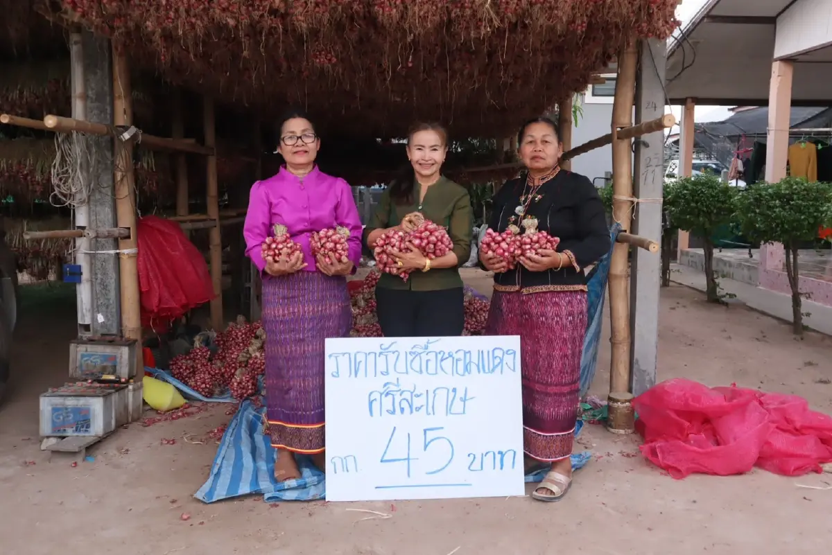 "พาณิชย์" ปิดจ๊อบโค้งสุดท้ายหอมแดงศรีสะเกษปี 66 ดันราคาดีกว่าปีที่แล้ว