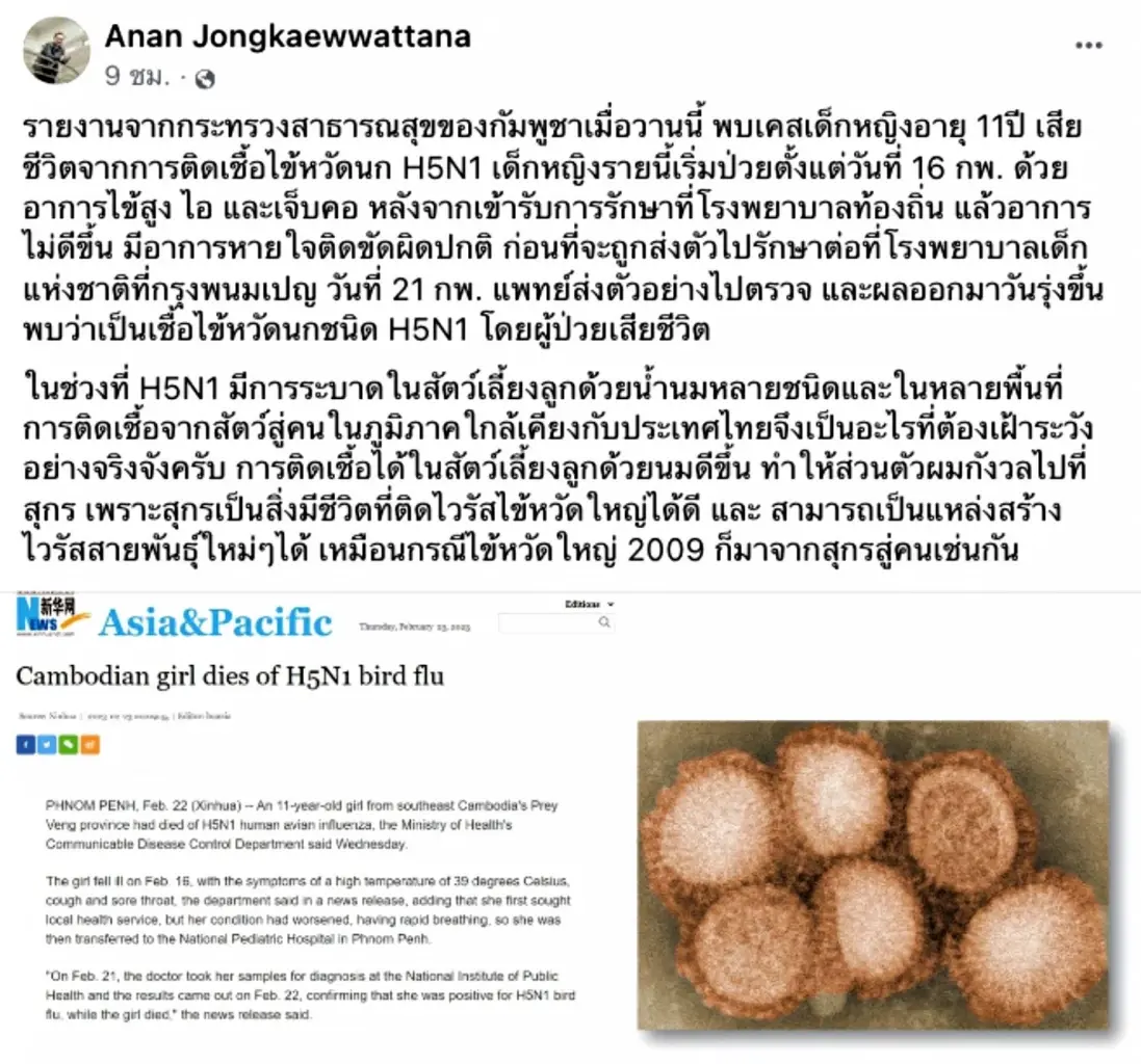 นักไวรัสวิทยา เตือนไทยเฝ้าระวังไข้หวัดนก H5N1 หลังกัมพูชาพบผู้เสียชีวิต