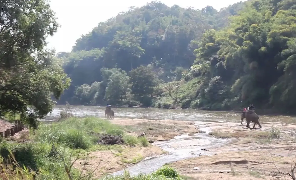 แห่ชมทะเลหมอก-สัมผัสอากาศหนาว ที่อุทยานแห่งชาติลำน้ำกก
