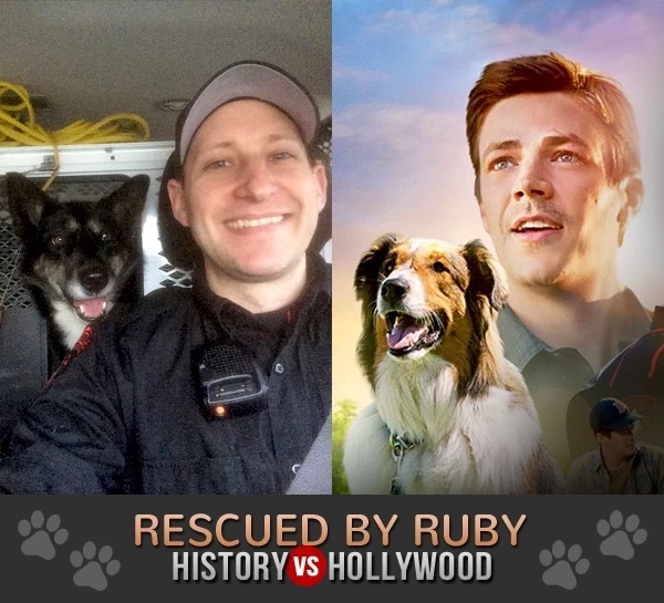 รำลึก 2 สุนัขผู้กล้าหาญ หลังทั่วโลกอาลัย "Proteo" ฮีโร่ 4 ขากู้ภัยตายในภารกิจตุรกี