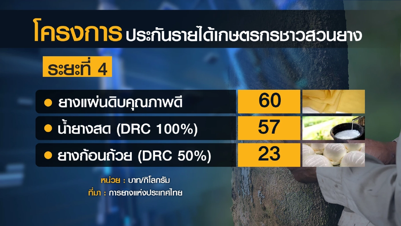 ชาวสวนเฮ ครม.รับทราบ ประกันรายได้ 'ยาง' 7.6 พันล้าน