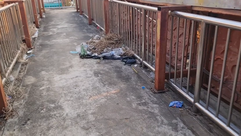 แชร์สนั่น! เพจดังโพสต์ชายหญิง แอบมีอะไรกันบนสะพานลอยพิษณุโลก ไม่อายฟ้าดิน