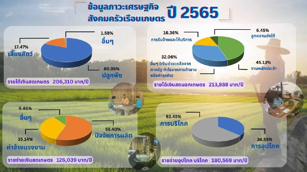 ผลโพลชี้ เกษตรกรอ่วม! รายได้สุทธิเหลือครัวเรือนละ 8 หมื่นบาทต่อปี