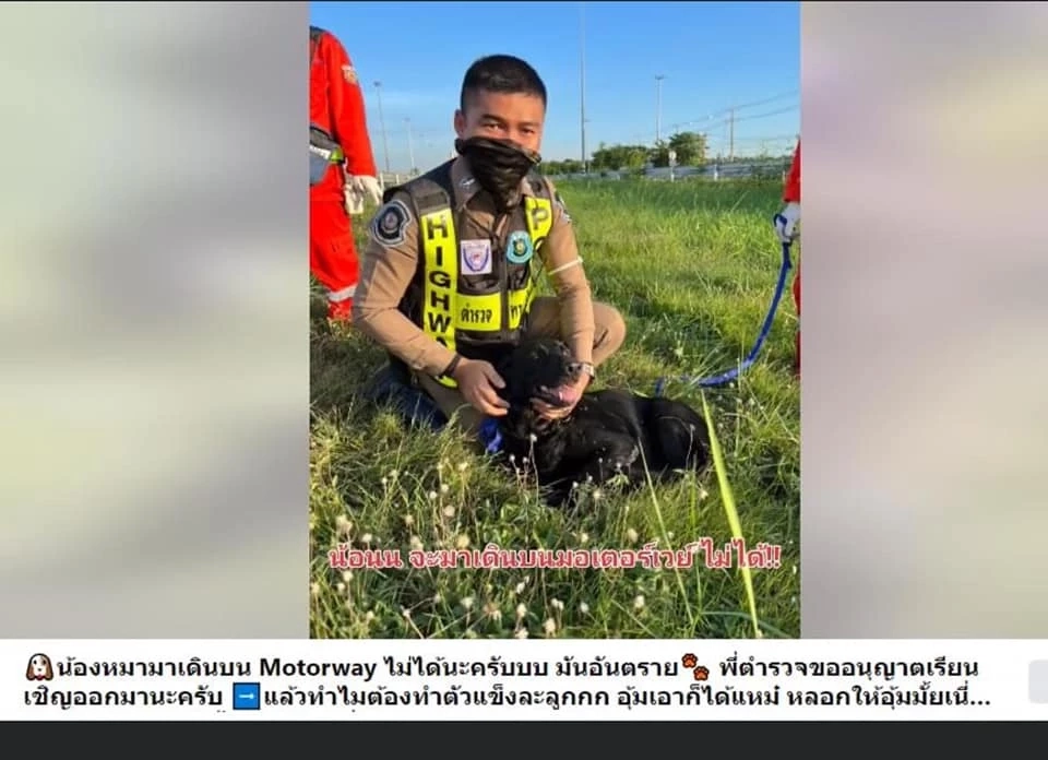 เพื่อนตำรวจแห่อาลัย "ส.ต.อ." ช่วย ปชช. ได้รับคำชมบ่อยครั้ง ก่อนถูกชนดับ