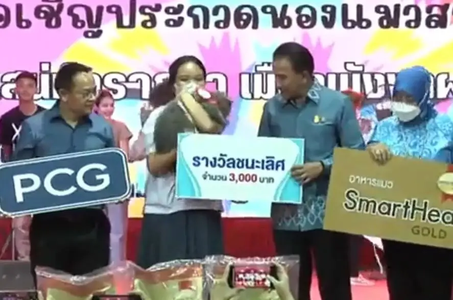 ผู้ว่าฯพังงาเปิดแคทวอล์คของแท้ ให้น้องแมวประชันความงามในงานกาชาด
