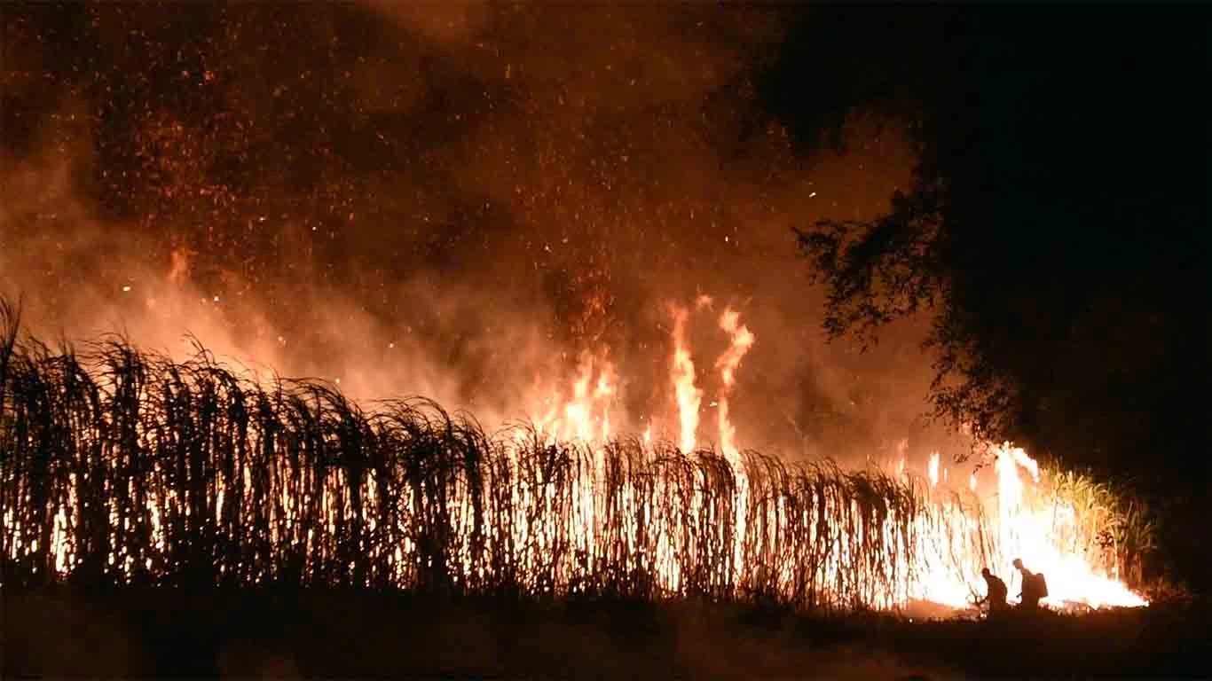 “พรรคก้าวไกล” เสนอแนวทางแก้ปัญหา PM2.5 ด้วยนโยบาย “เกษตรก้าวหน้า”