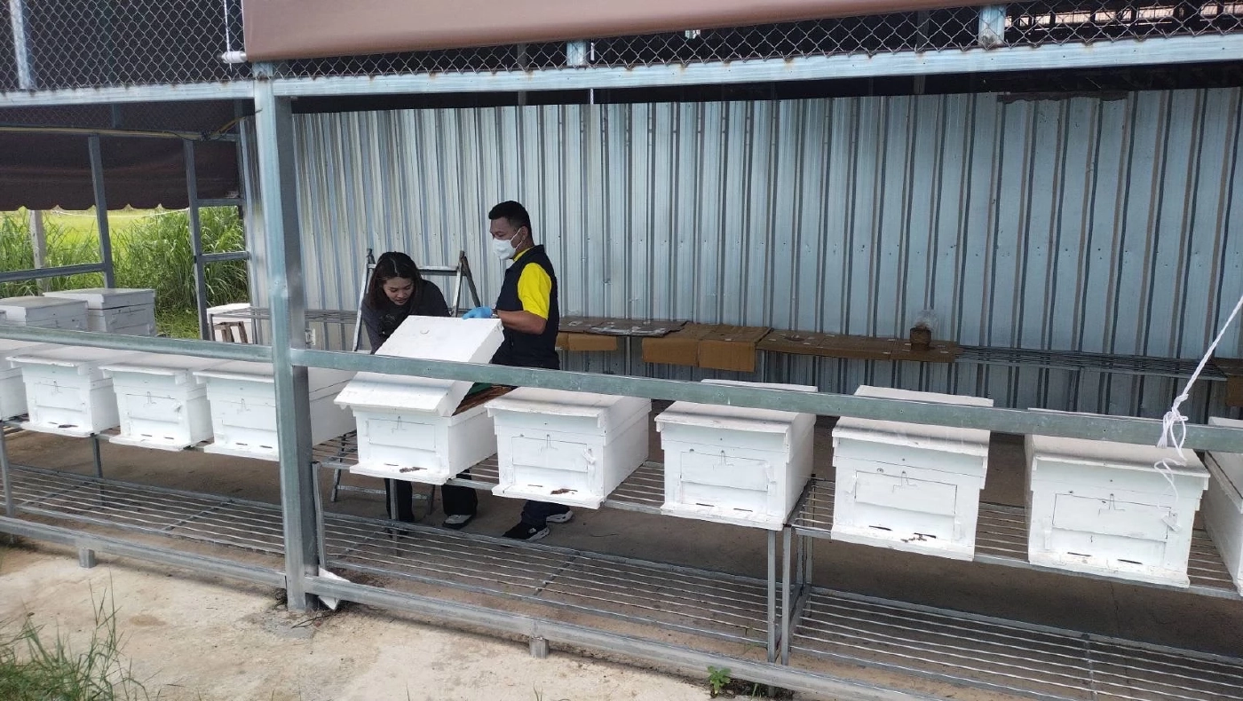 ตร.เตือนอย่าหลงเชื่อ หลอกลงทุน Turtle Farm พบหลอกเหยื่อเสียหาย 2,000 ล้าน