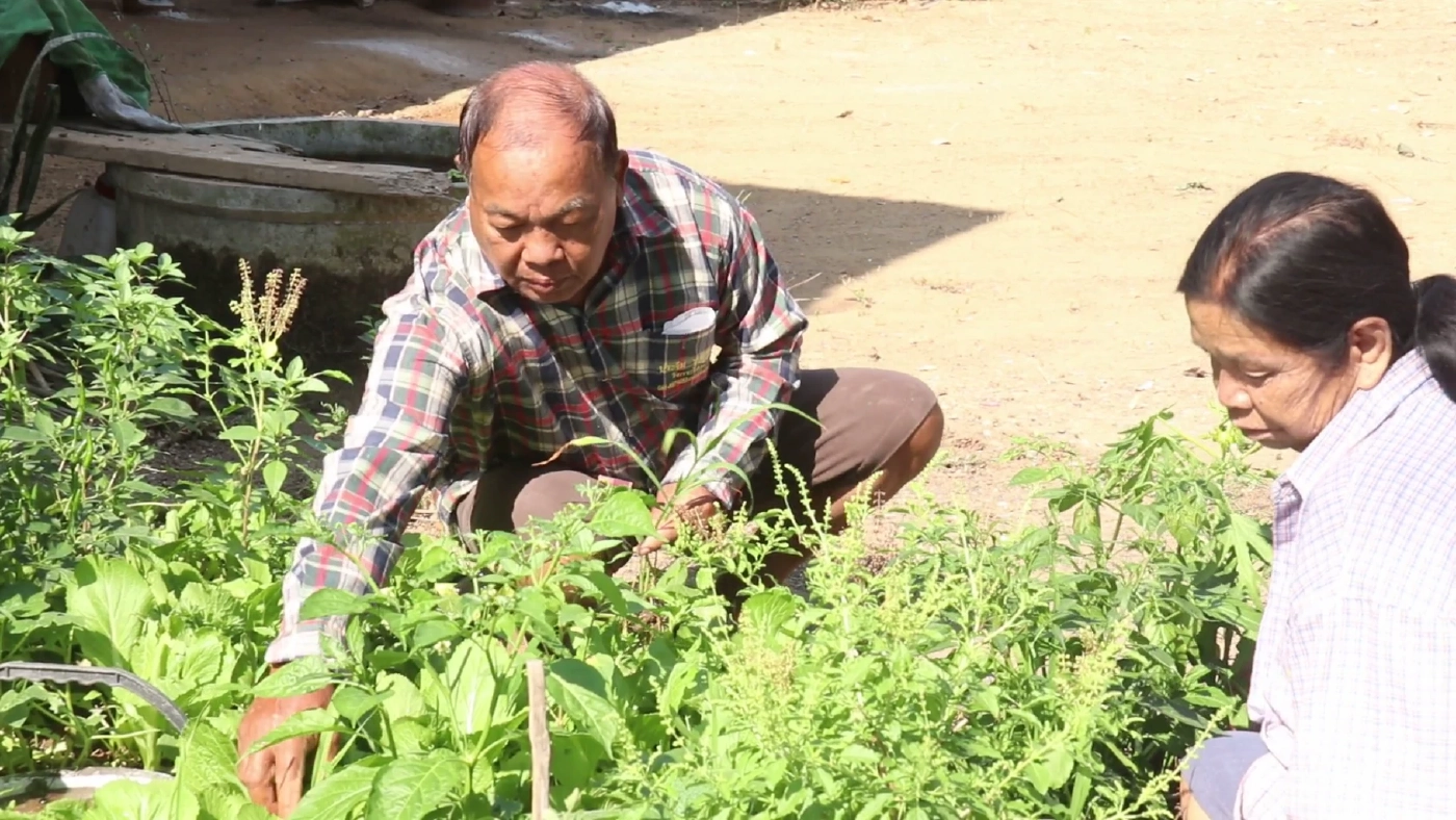 ชาวพิจิตร นำขยะเปียกปลูกผักสวนครัว ลดรายจ่ายและขยะในชุมชน
