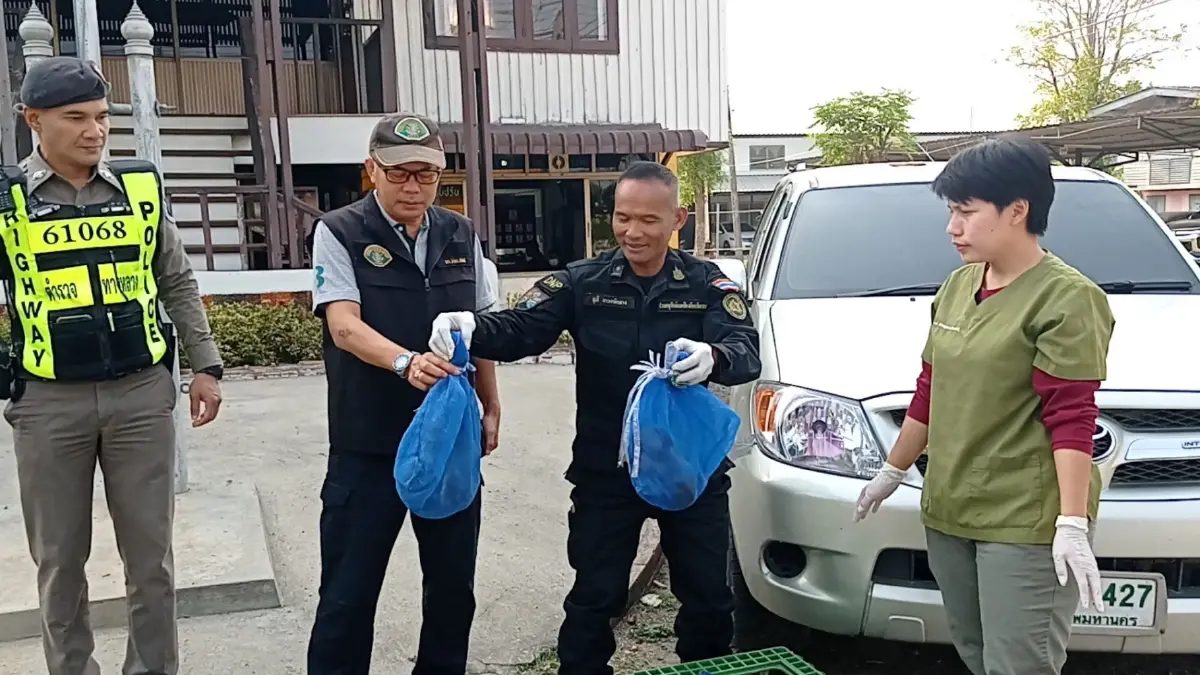 รวบแก๊งลักลอบค้าลิงแสมข้ามชาติ เตรียมส่งข้ามแดนไปขายจีน