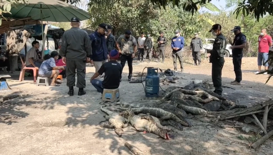 คนชำแหละยืนยัน "เนื้อเหี้ย" ไม่มีใครทำลูกชิ้น - หนังทอดกรอบ เหตุแพงไม่คุ้ม