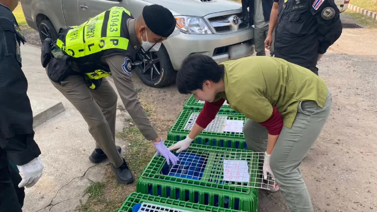 จับกุมขบวนการลอบค้าลิงแสม ส่งออกต่างประเทศ เมนู"เปิบพิสดาร"ตัวละ 1 หมื่นบ.