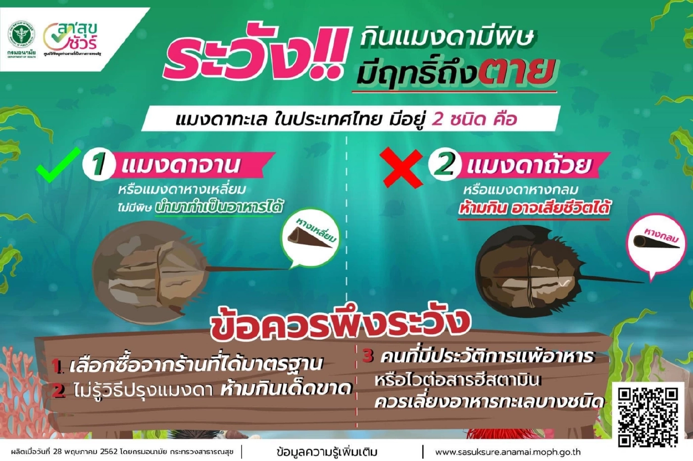 ดับแล้ว 2 ราย สสจ.ตราด เตือน บริโภคแมงดาถ้วย มีฤทธิ์ถึงตาย