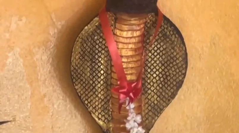 แห่ส่อง 'เลขเด็ด' พิธีไหว้ศาลพญางูยักษ์ คอหวยยิ้มได้ 2 ตัวเน้นๆ งวด1/4/66