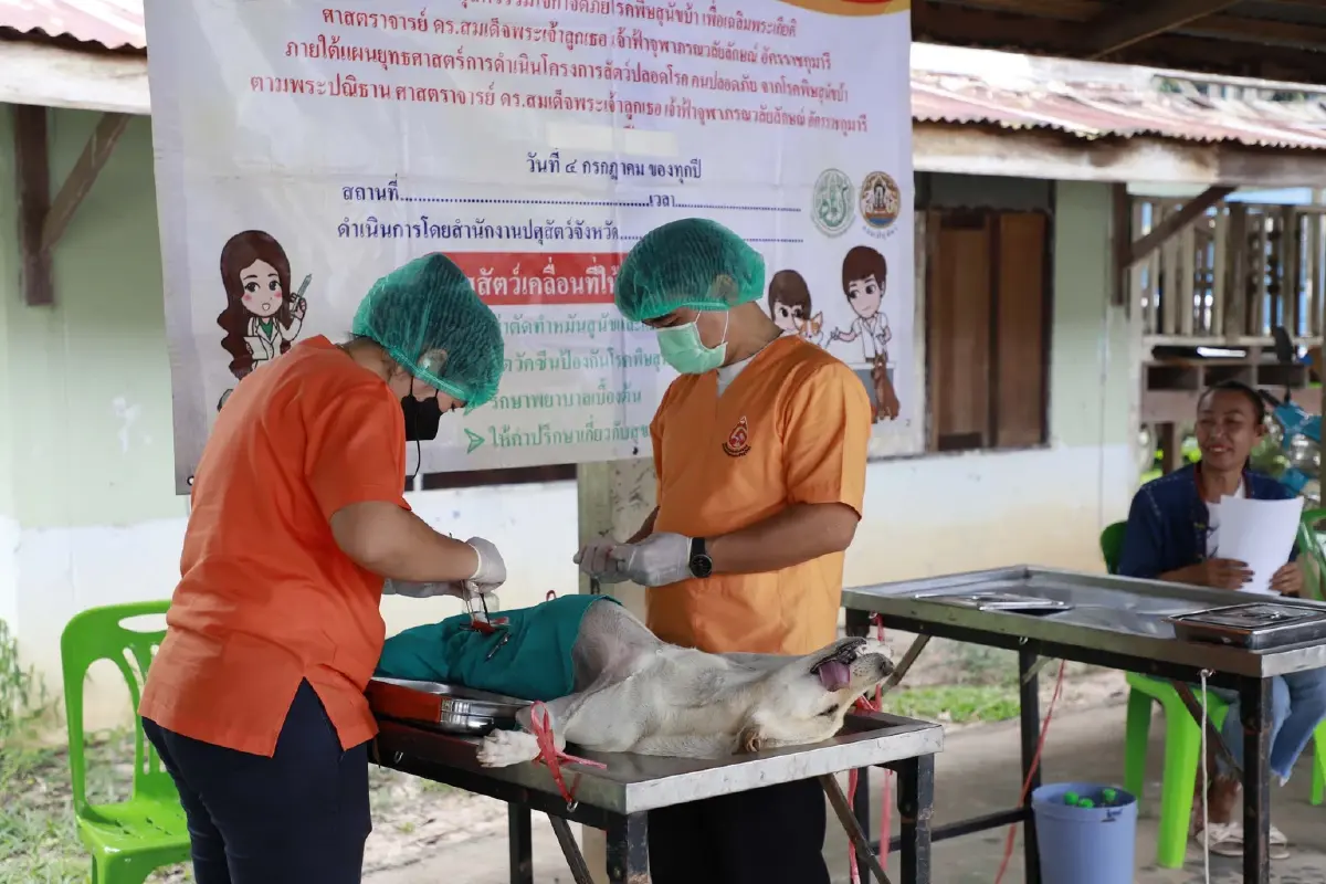 กาฬสินธุ์เตือนปชช. ระวังถูกสุนัขแมวกัด-ข่วน ลดความเสี่ยงโรคพิษสุนัขบ้า
