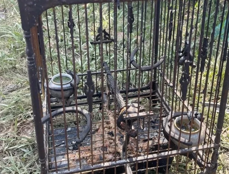 ไฟไหม้บ้าน ‘ตู่ จารุศิริ’ ดารารุ่นใหญ่ ปลอดภัย เชื่อสิ่งศักดิ์สิทธิ์มีจริง