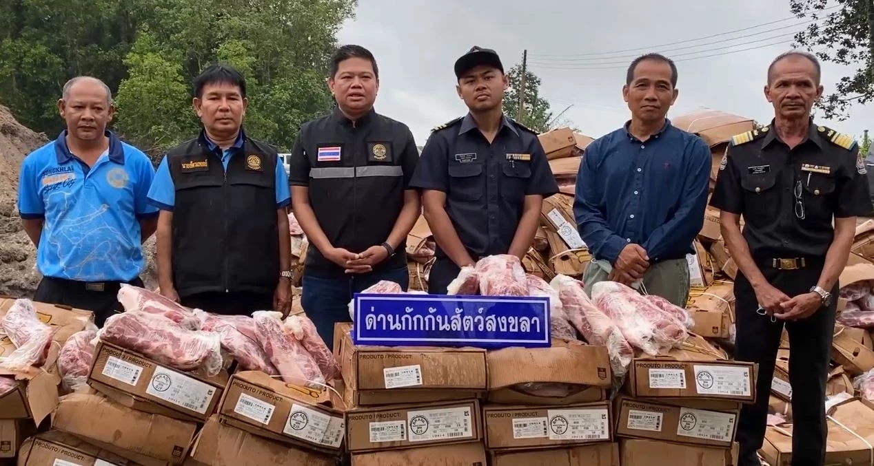ด่านกักกันสัตว์สงขลา ฝังทำลายซากสุกรแช่แข็งนำเข้าผิดกม. ล็อตใหญ่กว่า 30 ตัน