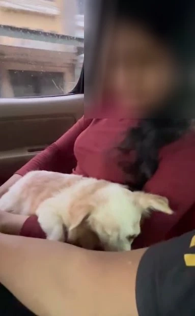 ดราม่า! จับสาวนักค้ายา ร่ำไห้กอดหมาสุดที่รัก กลัวไม่มีคนเลี้ยง