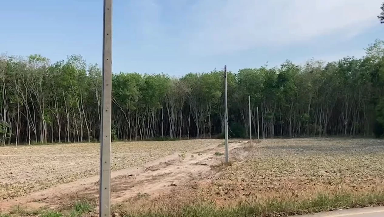 โจรปีนเสาไฟสูง 8 เมตร ตัดสายไฟจนเหี้ยนเหลือแต่เสา
