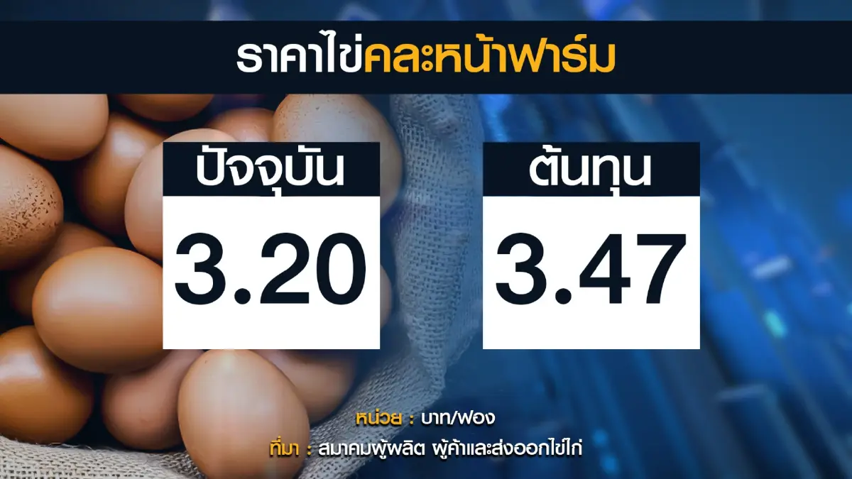 รัฐหนุนส่งออก 'ไข่ไก่' 2 ล้านฟอง พยุงราคาในประเทศ