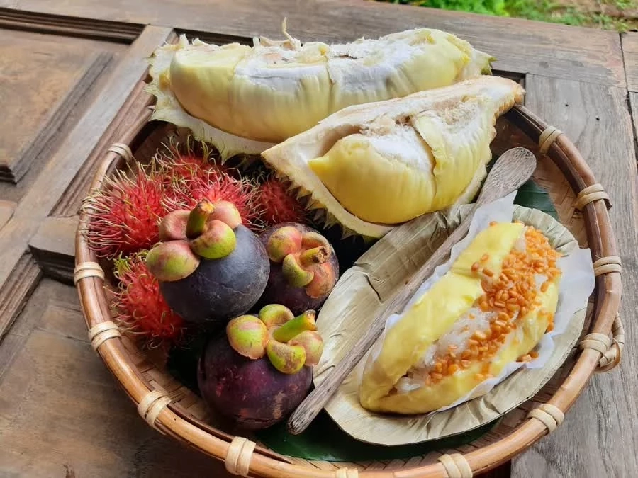 "หมอนพระร่วง" ทุเรียนดีที่ศรีสัชนาลัย  เจาะประเด็นเด่น  โดย "ขุนเกษตร"