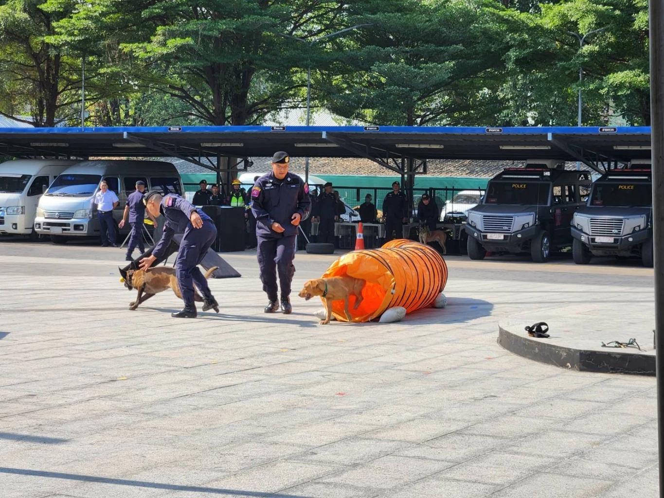 บรรยากาศสุดน่ารัก บก.สปพ. จัดพิธีประดับยศ-มอบรางวัล "สุนัขตำรวจดีเด่น"