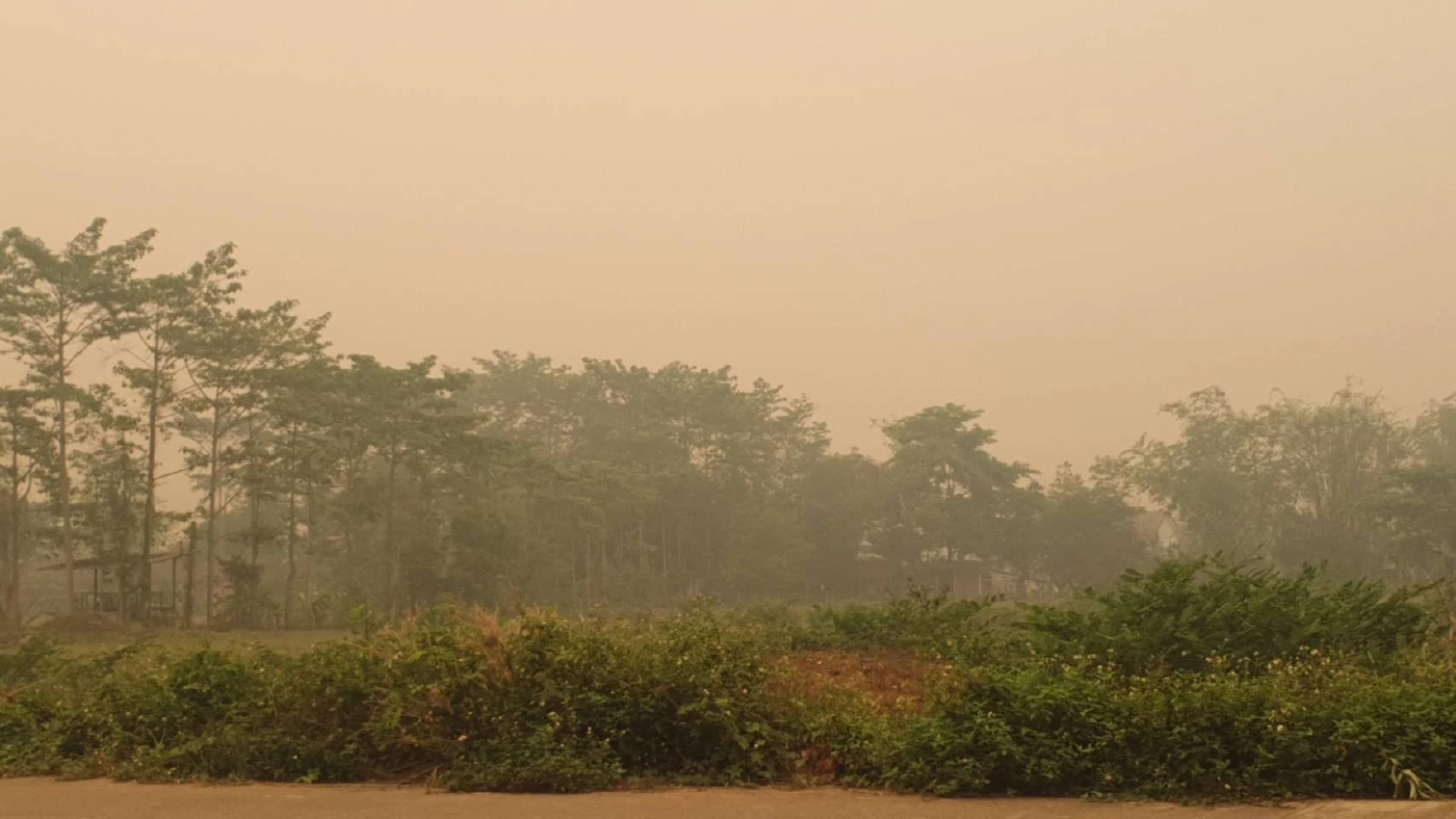 ชาวแม่สายสุดทน "PM2.5"ทะลุ 542 ไมโครกรัม จ่อรวมตัวกดดันรัฐแก้ปัญหา