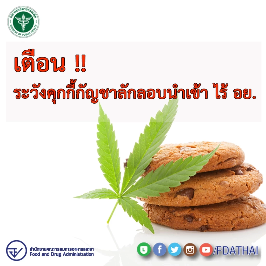 อย.เตือน! ระวังคุกกี้ผสมกัญชา ลักลอบนำเข้าเกลื่อน