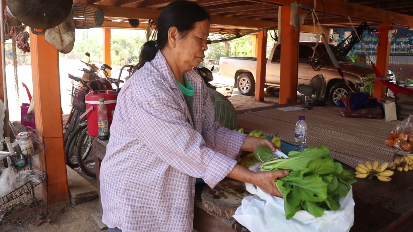 ชาวพิจิตร นำขยะเปียกปลูกผักสวนครัว ลดรายจ่ายและขยะในชุมชน