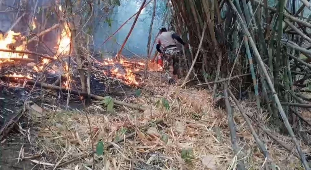 ไหม้ข้ามวันข้ามคืน ไฟป่าเขาค้อ ยังควบคุมเพลิงไม่ได้