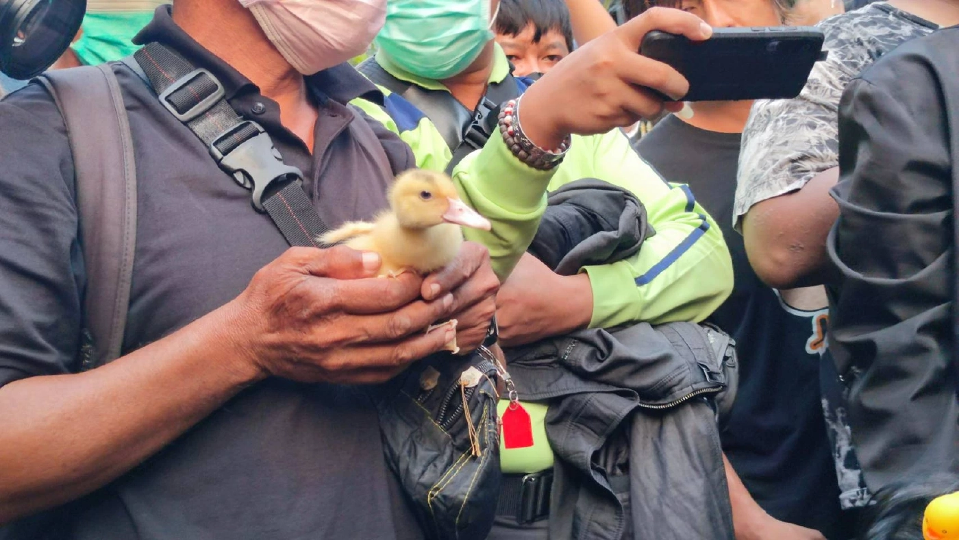 มวลชนอุ้มเป็ดประท้วงตร. คุกคามกิจกรรมสนามหลวง