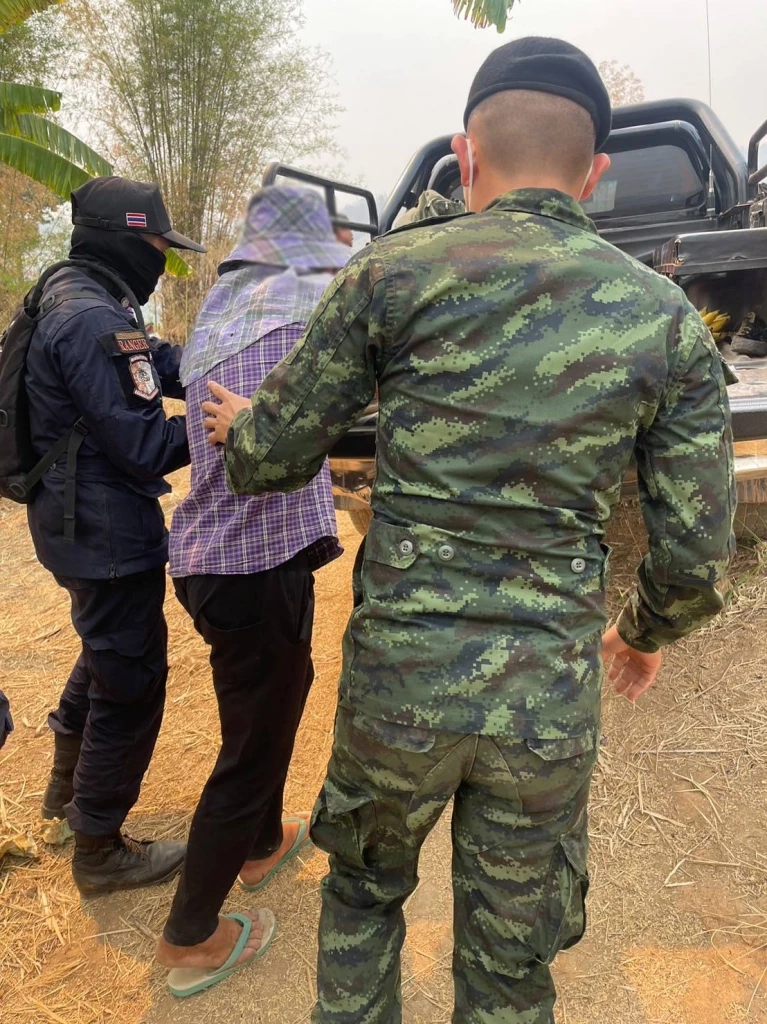 รวบหนุ่มเผาป่า ทำหวิดวอดทั้งภูเขา อ้างแค่หวังจะเอารังต่อ