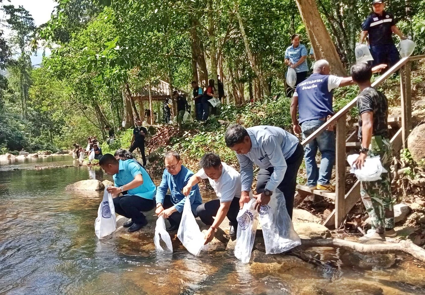 ตรังปล่อย "ปลาซิวข้างขวาน" หลังเพาะพันธุ์โดยวิธีเลียนแบบธรรมชาติสำเร็จ