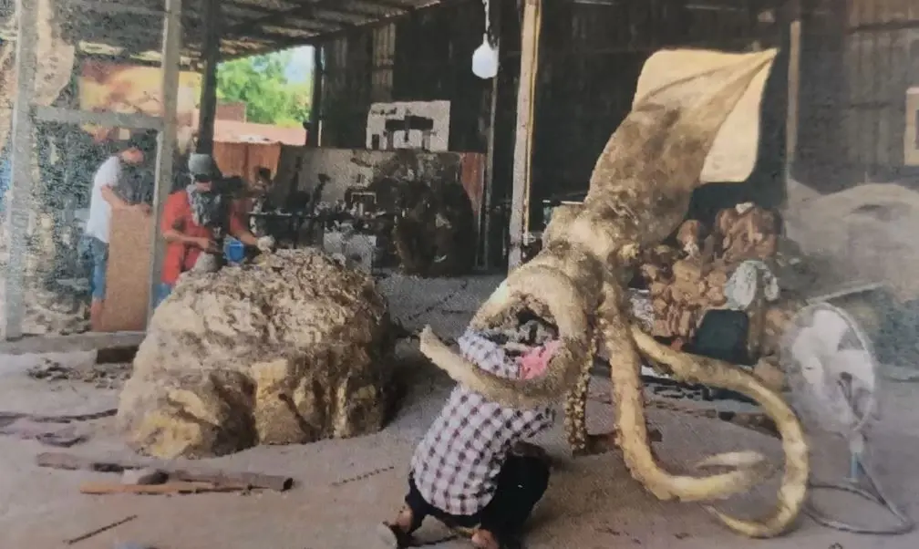 ตัวเฉียดล้าน! รูปปั้นสัตว์ทะเลหาดปะนาเระ ช่างโยธา เผย ราคาสมเหตุสมผล