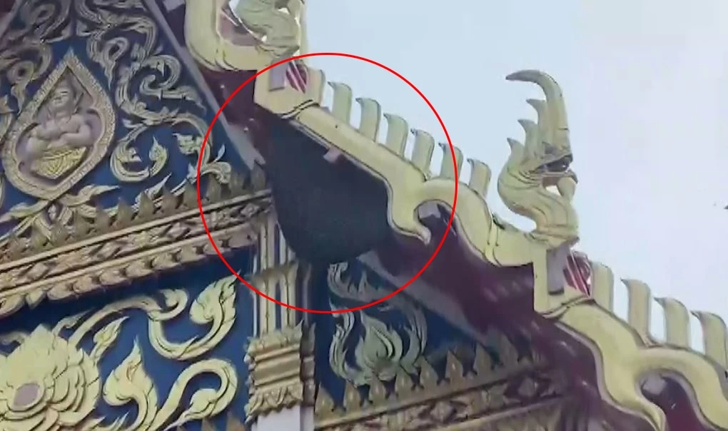 อุทาหรณ์งานบวช ผึ้งตกใจเสียงรถแห่ ต่อยชาวบ้าน เจ็บระนาว