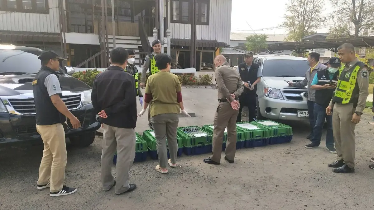 รวบแก๊งลักลอบค้าลิงแสมข้ามชาติ เตรียมส่งข้ามแดนไปขายจีน
