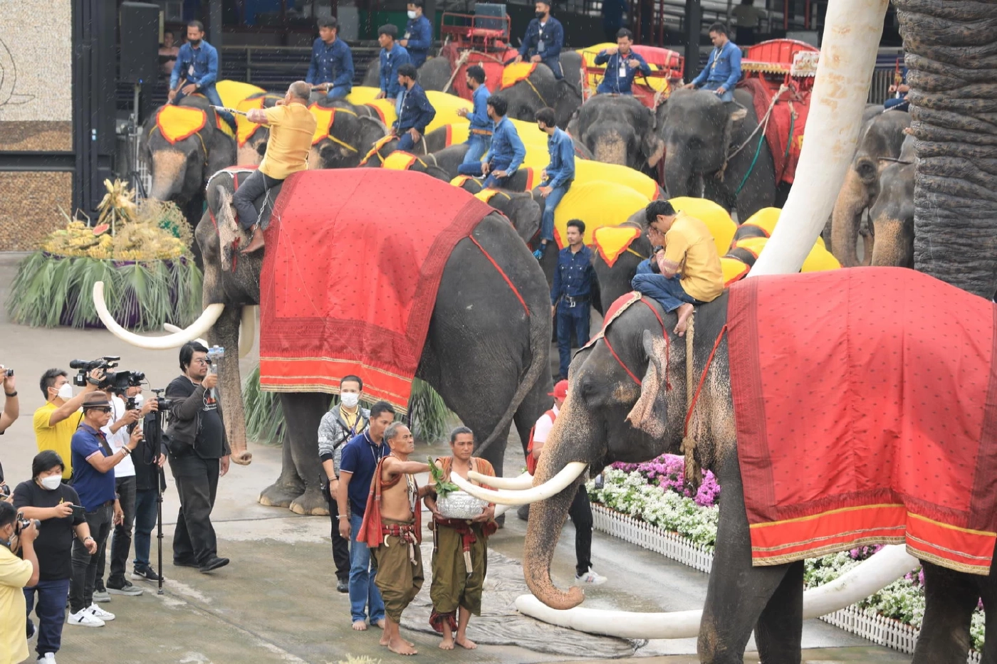 สวนนงนุชพัทยา ทำพิธีฮ้องขวัญช้าง พร้อมจัดโต๊ะจีนผลไม้ เฉลิมฉลองวันช้างไทย