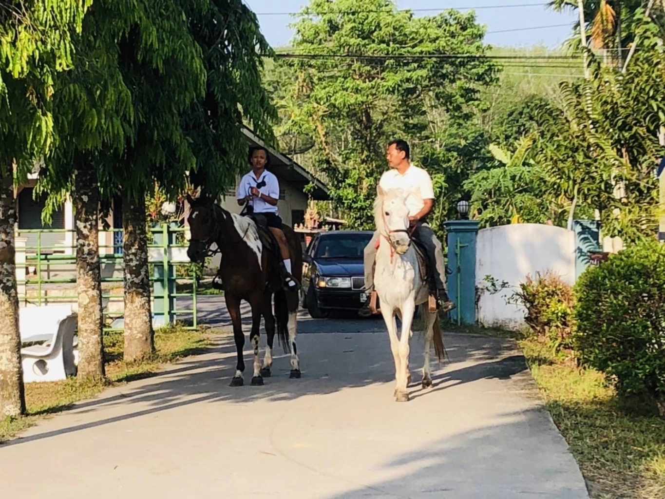 ฮือฮา! นักเรียนหญิง ป.4 ขี่ม้าไปโรงเรียน ชาวบ้านแห่ชม ความสามารถเกินตัว