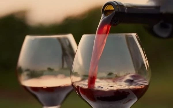 หมอดื้อ แพทย์ดังเผยประเด็นร้อนๆ “ไวน์แดงช่วยชีวิตจริงหรือ” คอข่าวต้องรู้