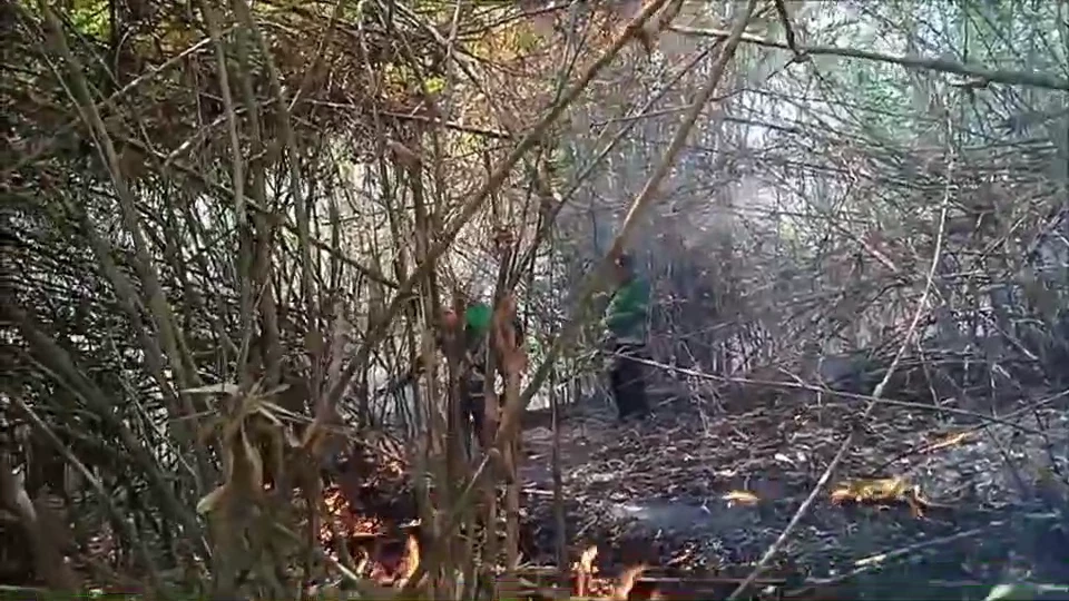 วิกฤตฝุ่น"PM2.5" อ.แม่สาย เชียงราย ทะลุเกินมาตรฐาน พบจุดความร้อน 154 จุด