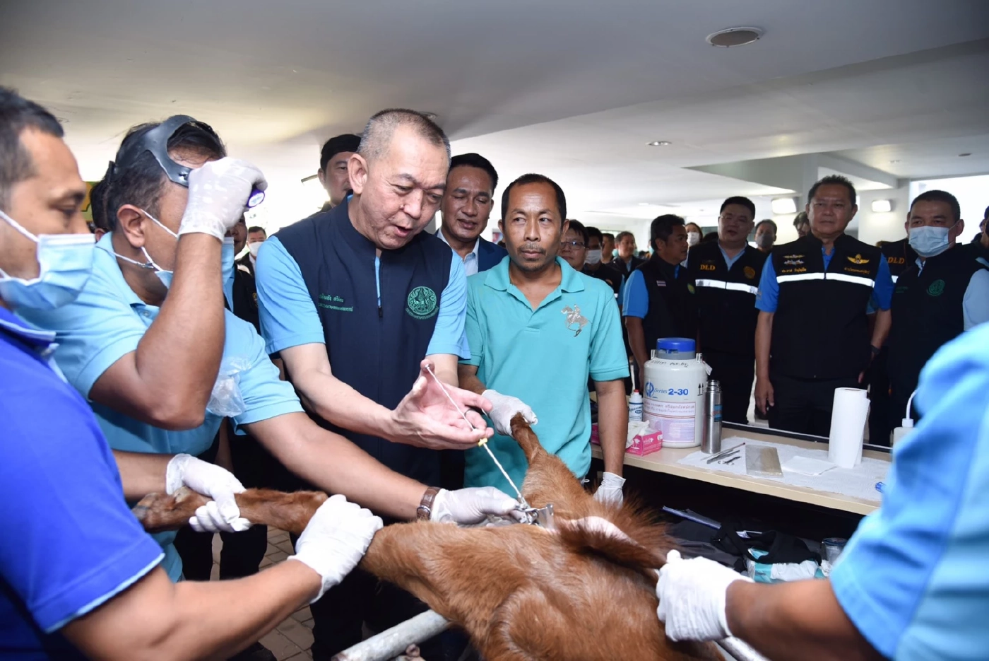 คิกออฟ ปศุสัตว์เคลื่อนที่ บริการทำหมัน ฉีดวัคซีนพิษสุนัขบ้าหมา-แมว ฟรี !