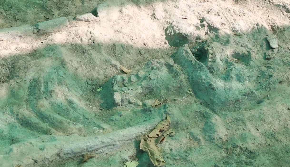 กรมศิลปากร เผยผลพิสูจน์ โครงกระดูกกลางทุ่งนา จ.ขอนแก่น