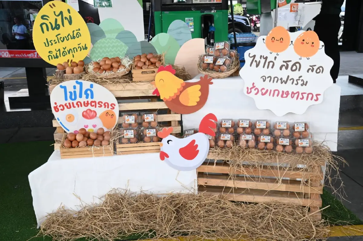 กรมการค้าภายใน จับมือ 3 ปั๊ม เติมน้ำมันรับไข่ไก่ ช่วยเกษตรกร กระจายผลผลิต
