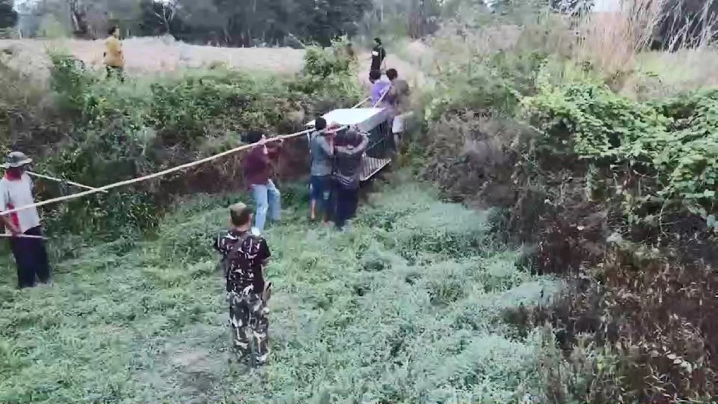 ล้อมจับวุ่น "ลูกหมีหมา" พลัดหลงเข้าใกล้ชุมชน หวั่นเกิดอันตราย