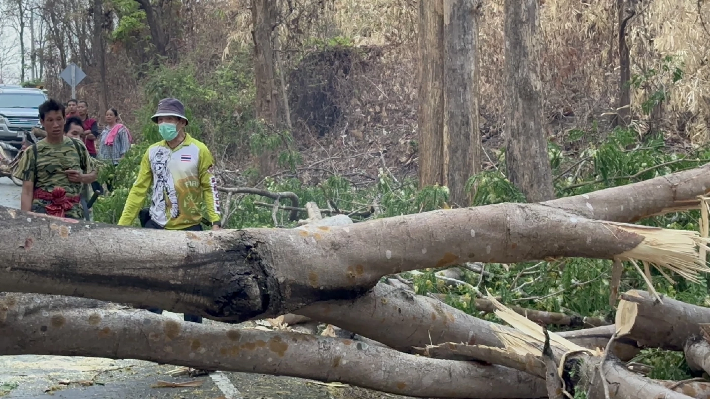 มือดีเผาป่า ไฟลามติดต้นไม้ใหญ่ จนล้มขวางถนน ทำรถติดยาวเกือบ 4 กม.